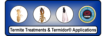 Spray Termites Treatment
