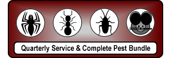 Tulsa Pest Control Exterminator